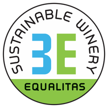 Load image into Gallery viewer, Torre Zambra Madia Montepulciano d’Abruzzo DOC 2021 750mL